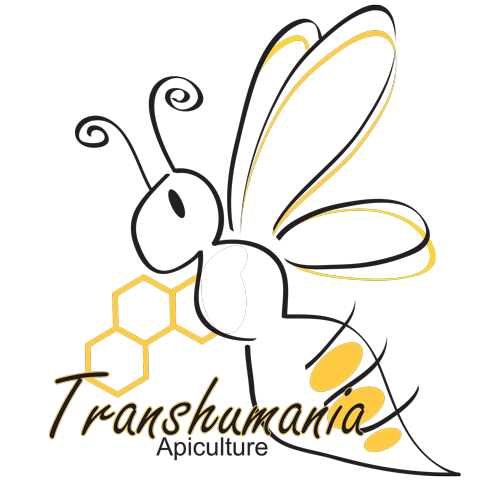 logo transhumania